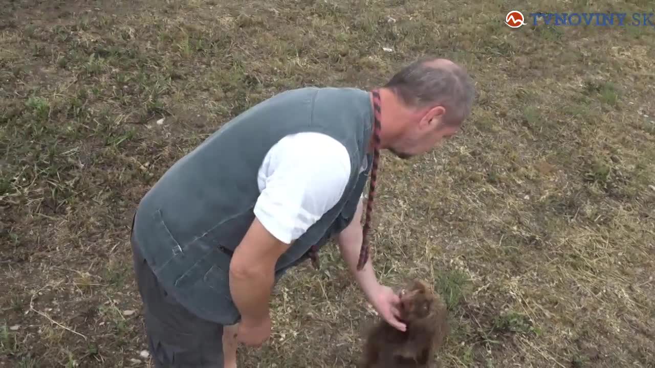 Napadol ho medveď
