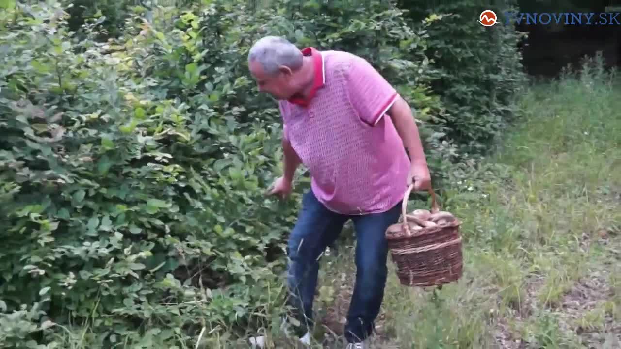 Bombu v lese našla čivava